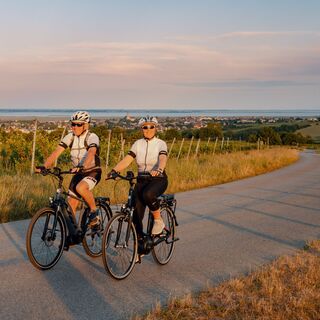 Neusiedler See Radweg