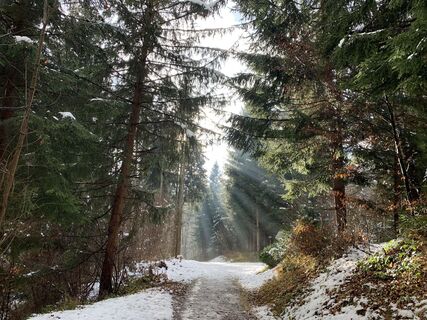 Foto von Gerald Hesztera entlang der Tour