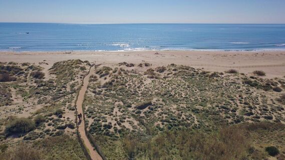 Dünen und Strand in Les Orpellieres