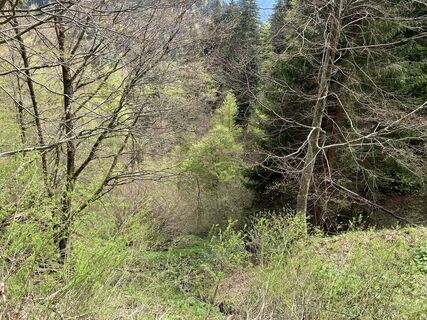 Foto fra Paul Dollinger underveis på turen