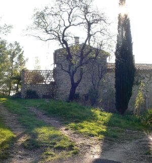 Rando du bois de Lèque0001 ©CDRP34