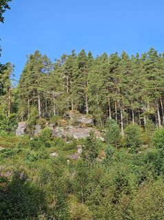Zdjęcie z Angelika Gerung wzdłuż trasy