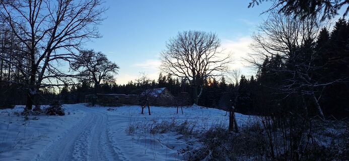 Foto de Deutsch Margit a lo largo del recorrido