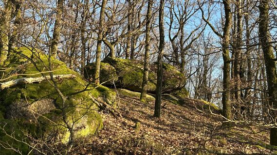 Fotografia z Matthias G74 na trase