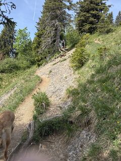 Foto von Carsten Unterste entlang der Tour