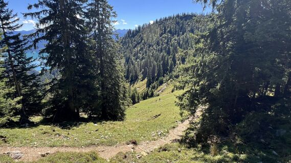Foto de Henryk Pietrzyk a lo largo del recorrido