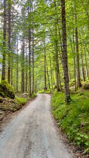 auf der MTB Tour "465 Rund um den Guffert" - auf der "Gang" Straße