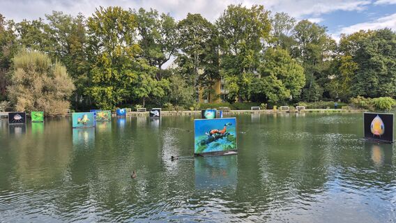 Fotografija s spletne strani Claudia Maurer na poti