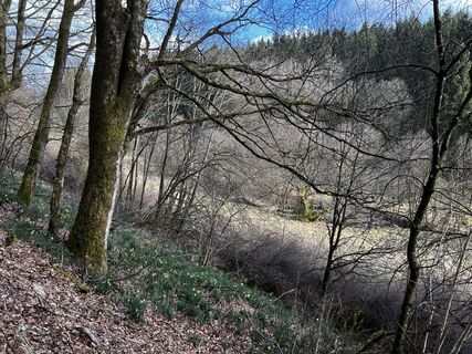 Foto von Diemahals entlang der Tour