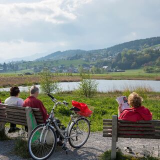 Egelsee im Sommer