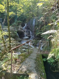 Fotografija s spletne strani Thomas Waldraff na poti