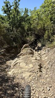 Fotografija s spletne strani Sven na poti