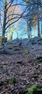 Fotó a Peter Rohrbach honlapról a túra során