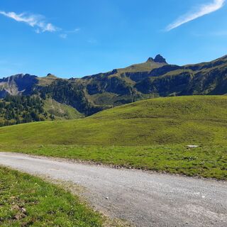 Fotografie z FinkM na trase