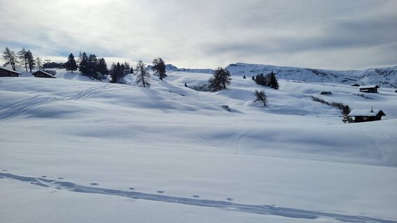 Foto de Wojciech Czarnynoga a lo largo del recorrido