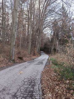 Foto von Weilin Teng entlang der Tour