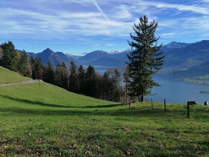 Foto von luyyy entlang der Tour