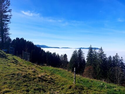 Foto von Jens Brunner entlang der Tour