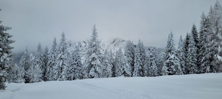 Foto von Nicky entlang der Tour