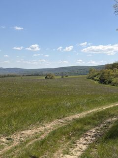 Fotografija s spletne strani Máté Ádám Schultheisz na poti