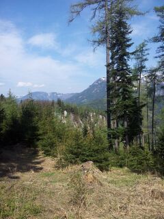 Scheibenwanderung : Kapellen-Scheibe-Preiner Gschaid