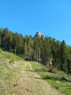 Zdjęcie z Lothar wzdłuż trasy