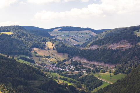 Zemljevid