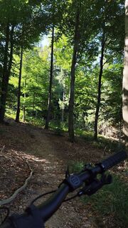 Photo de K.M. le long du parcours