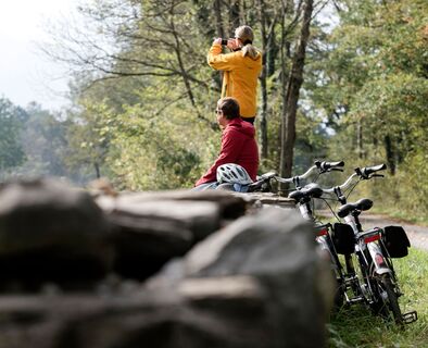 Auf der Alten Landstrasse zwischen Balzers und Triesen