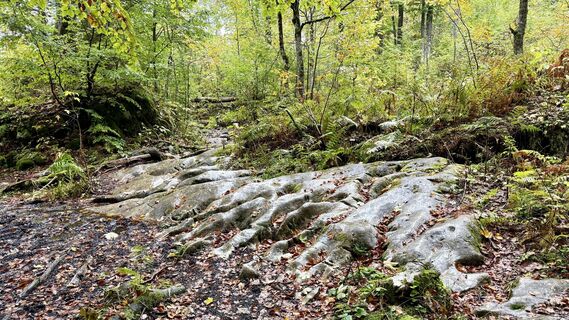 Fotografia z Manuela Riegler na trase