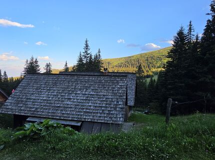 Fotografija s spletne strani MRDL na poti