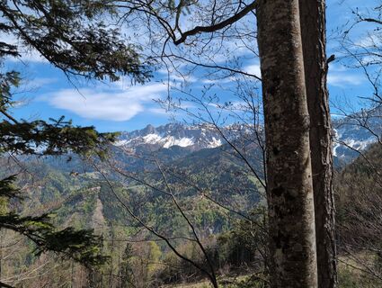 Photo de Thomas Fischer le long du parcours