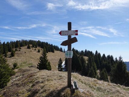 Foto von lorenzo lunardi entlang der Tour