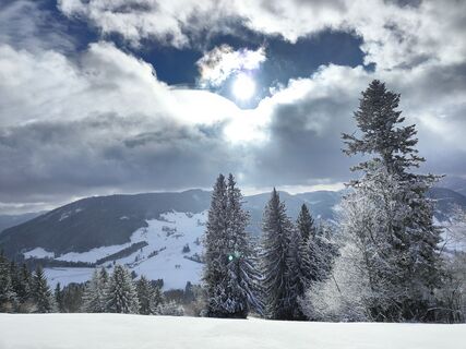 Fotografija s spletne strani Markus na poti