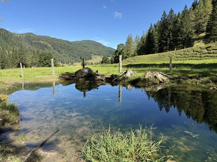 Foto da Bahn Micha lungo il tour