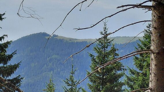Photo de Wolfgang Arlic 1 le long du parcours