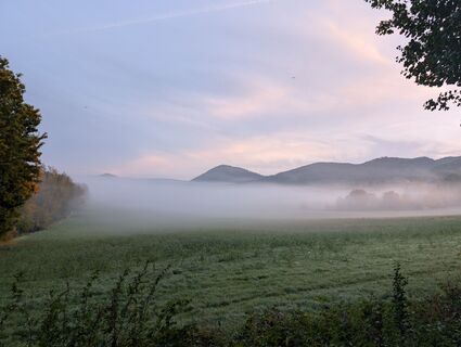 Photo de HOJ_09 le long du parcours