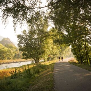 Radfahrer entlang des Rhône-Deiches im Schatten dank der Bäume