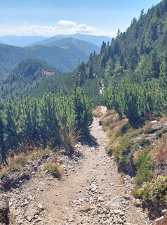 Foto från Conny Deutsch under resans gång