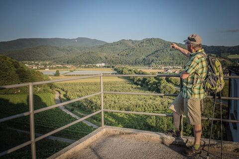 Buchholzer Rebberg: Blick auf den Kandel