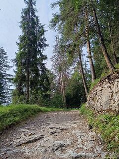 Fotó a Žaneta Schelling honlapról a túra során