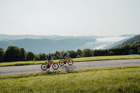 Blick ins Donautal - Panoramablick Thron