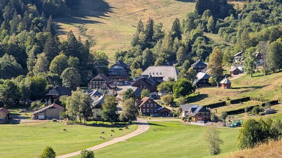 Bernau im Schwarzwald Über die Höhen entlang der Alb (1)