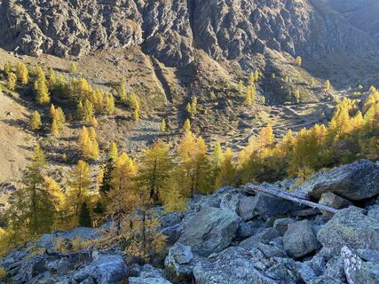Foto från David Amrein under resans gång
