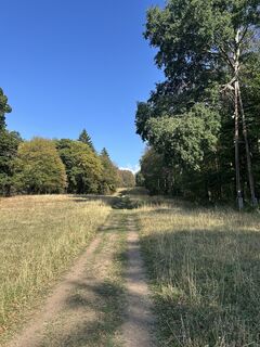 Foto von Viktor Gál entlang der Tour