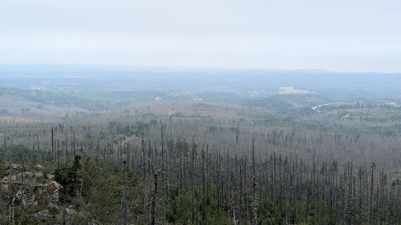 Foto von Chris gST entlang der Tour