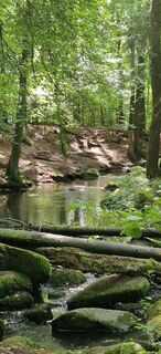 Foto von Zsuzsa Szàntó entlang der Tour