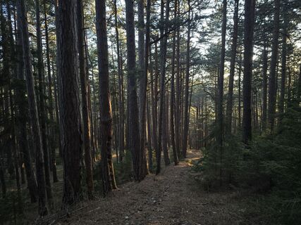 Фото с сайта enipeus 65 во время экскурсии