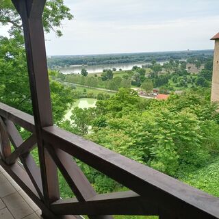 Blick vom Franziskanerkloster, Ilok