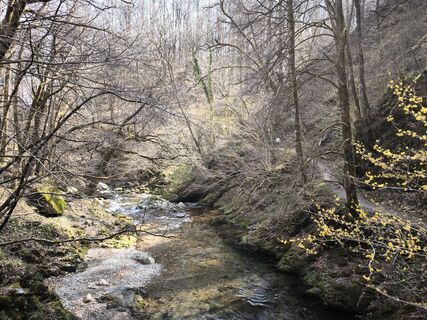 Zdjęcie z Alain Loetscher wzdłuż trasy